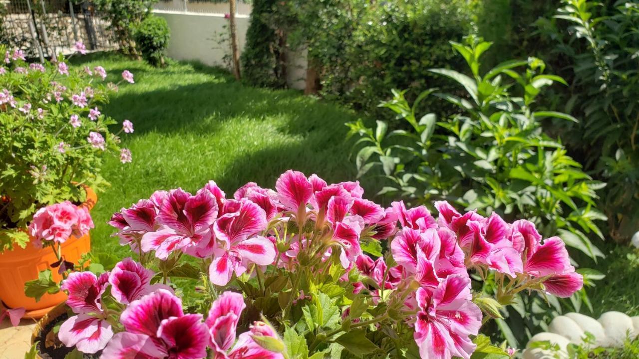 Vila Renato คซามิล ภายนอก รูปภาพ